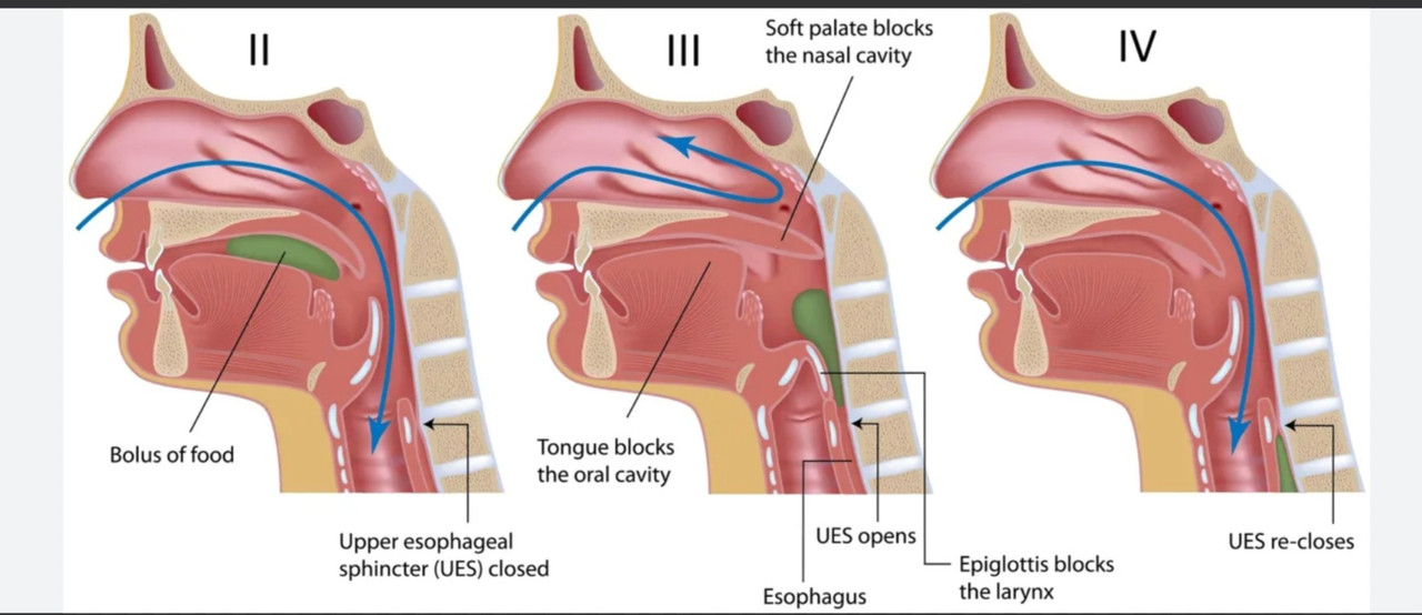 Screenshot 20251102 195449 Google