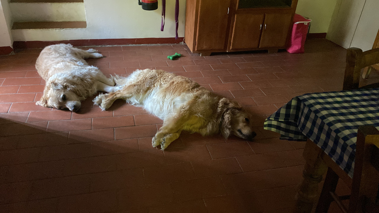 C823C139-1E57-4720-8C6E-EC40D20CC0E0