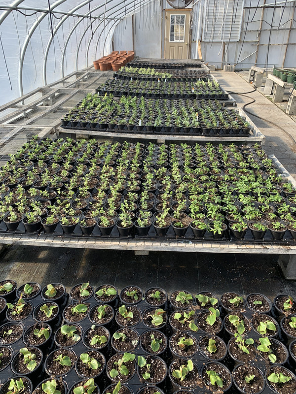 45A59B90-8B51-41DA-8EFB-7F0EC24982A8