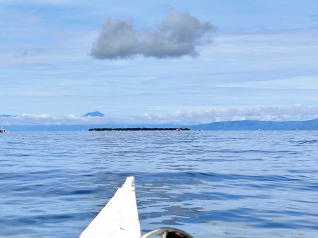 --DÍA 12 (22 junio):  Bohol (Balicasag) - Un mes por Filipinas y Tailandia con niñas (2025) (1)