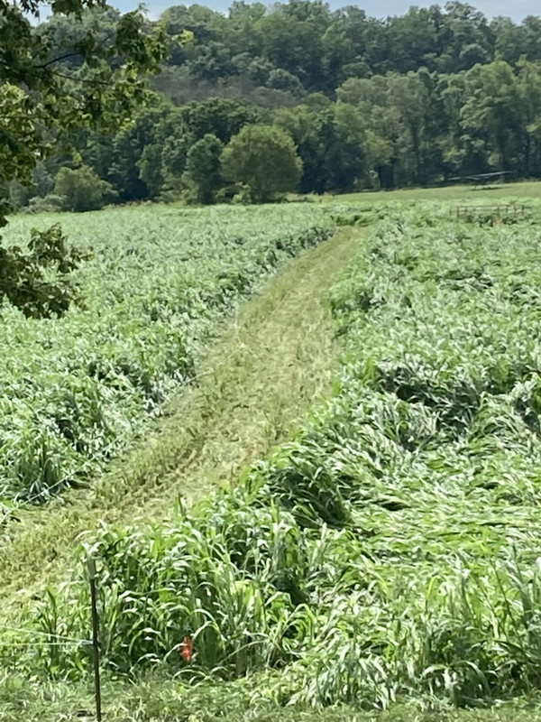 4E564616-3862-4C98-9BB9-27A01BF4088D