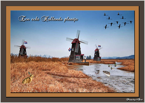 Holland-k.jpg