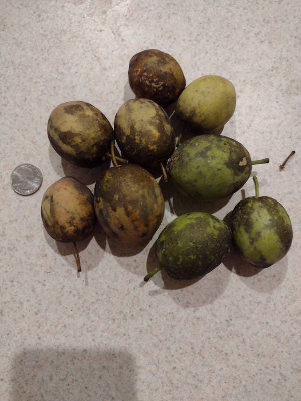 IMG_20231004_191558388