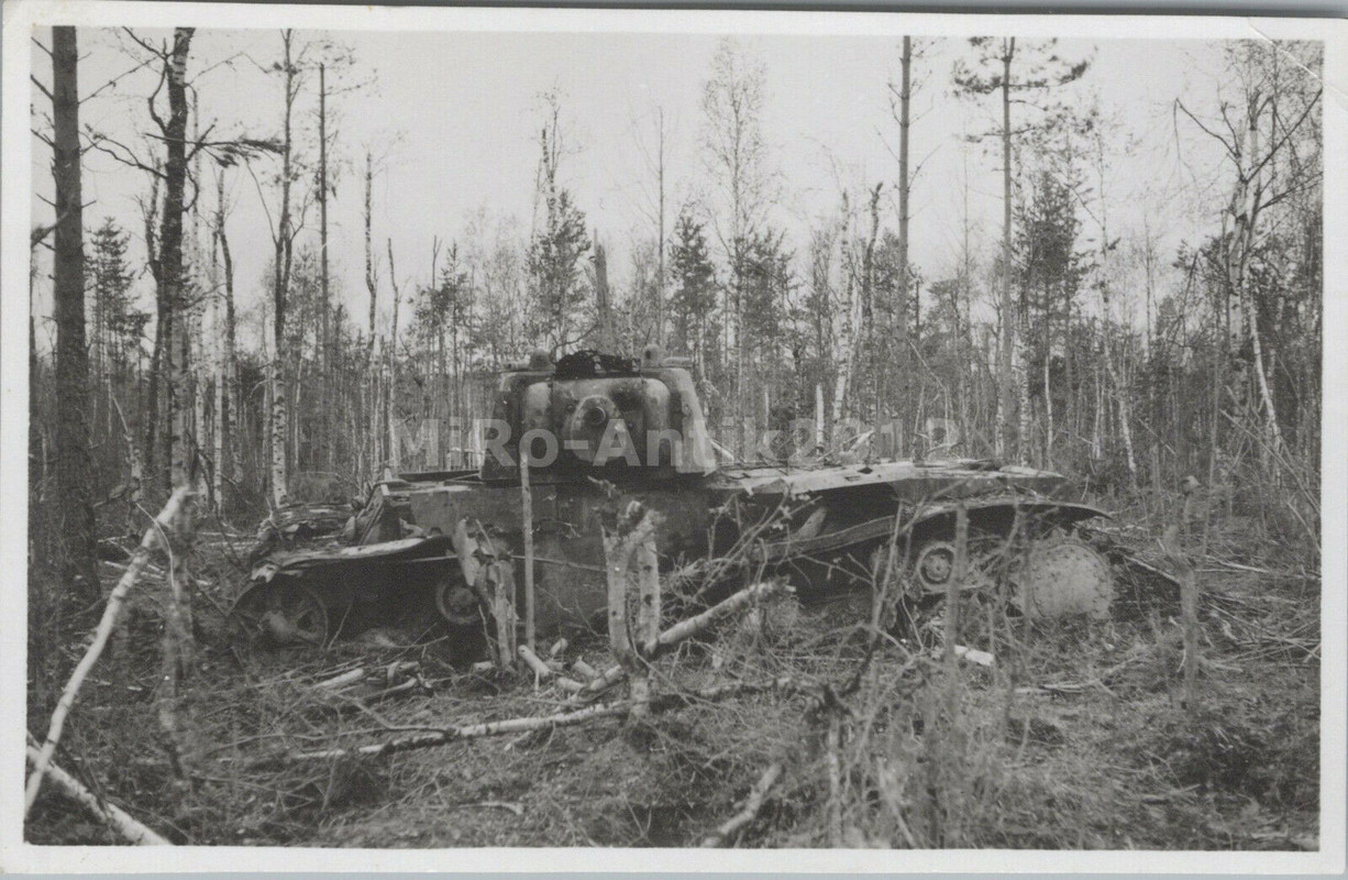 !zerstörter Panzer der Sowjets im Wald