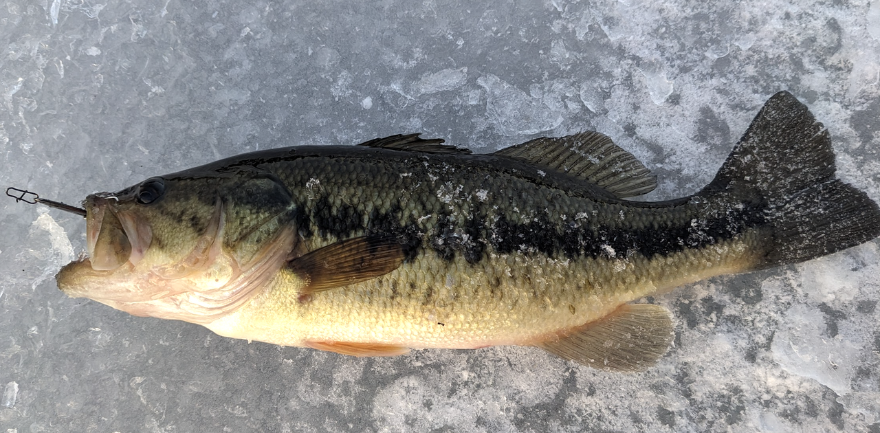 Screenshot 2025 12 07 at 6 09 15 PM