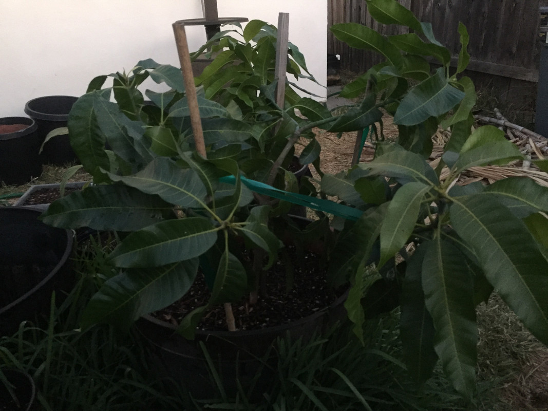 30C26FD8-A592-4575-B9DE-C28EFDF93811