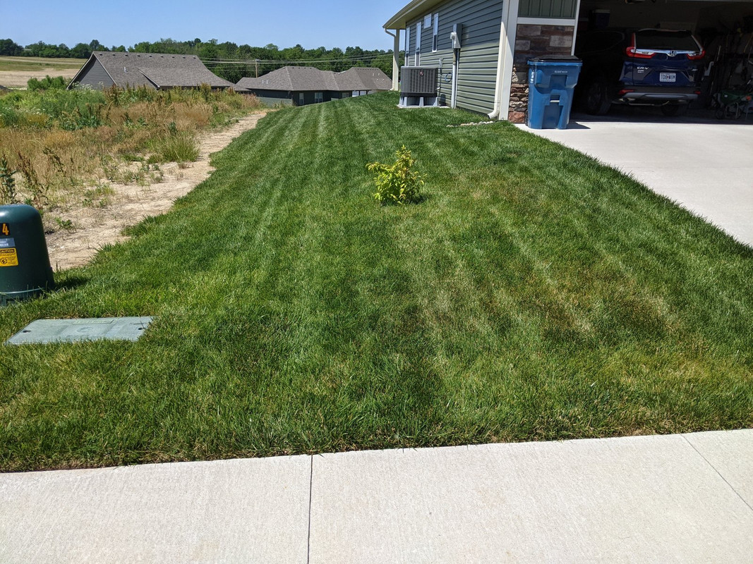 PXL_20210616_194443231