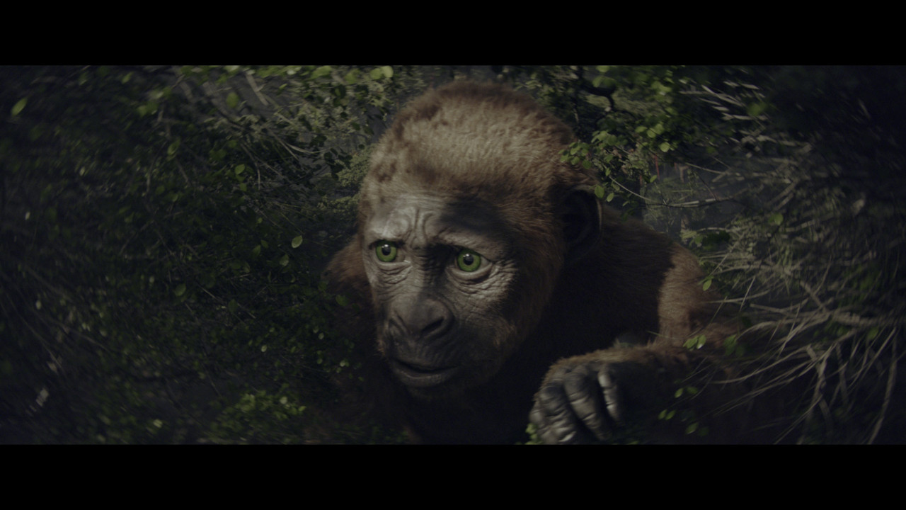 vlcsnap-2024-06-26-21h45m55s618