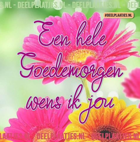 deelplaatjes-nl-hele-goede-morgen-423689.jpg