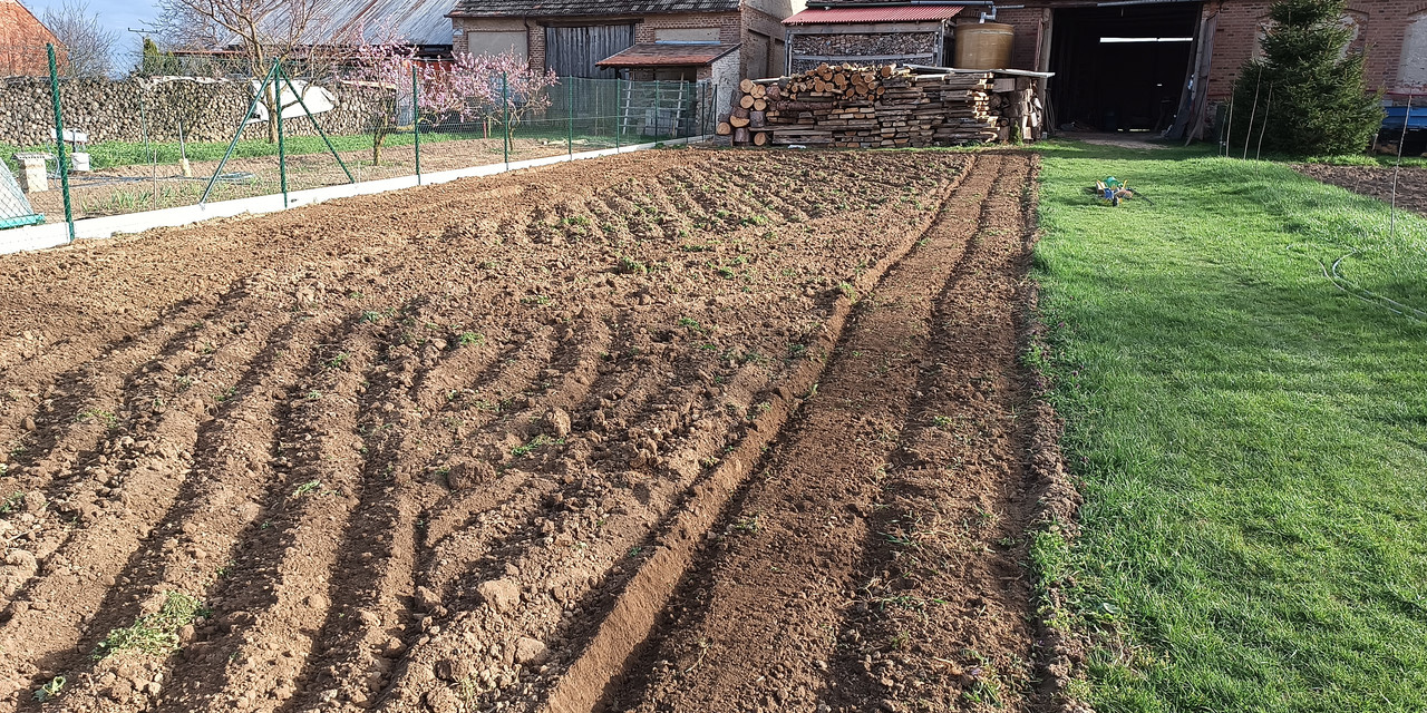 IMG_20250411_173228_786