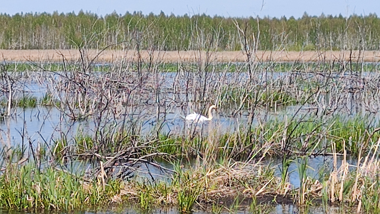 IMG-20240525-120110.jpg