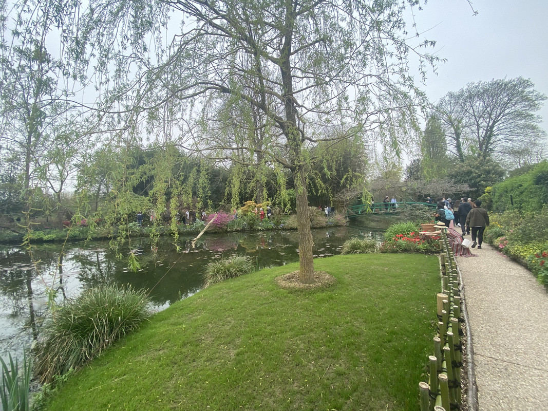 IMG_1037