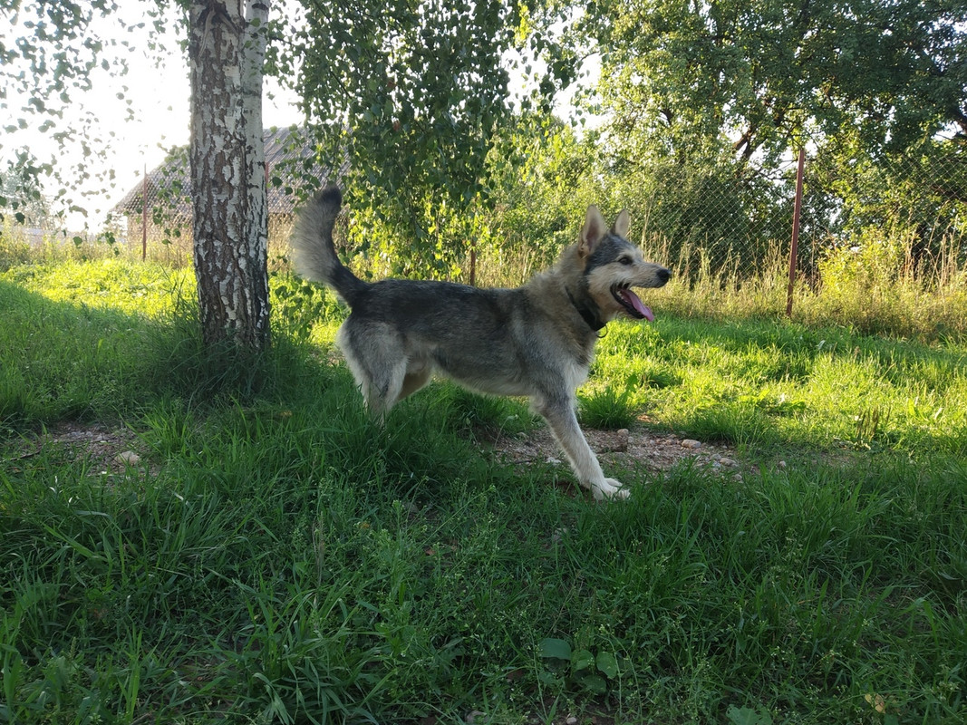 хутор. дарин