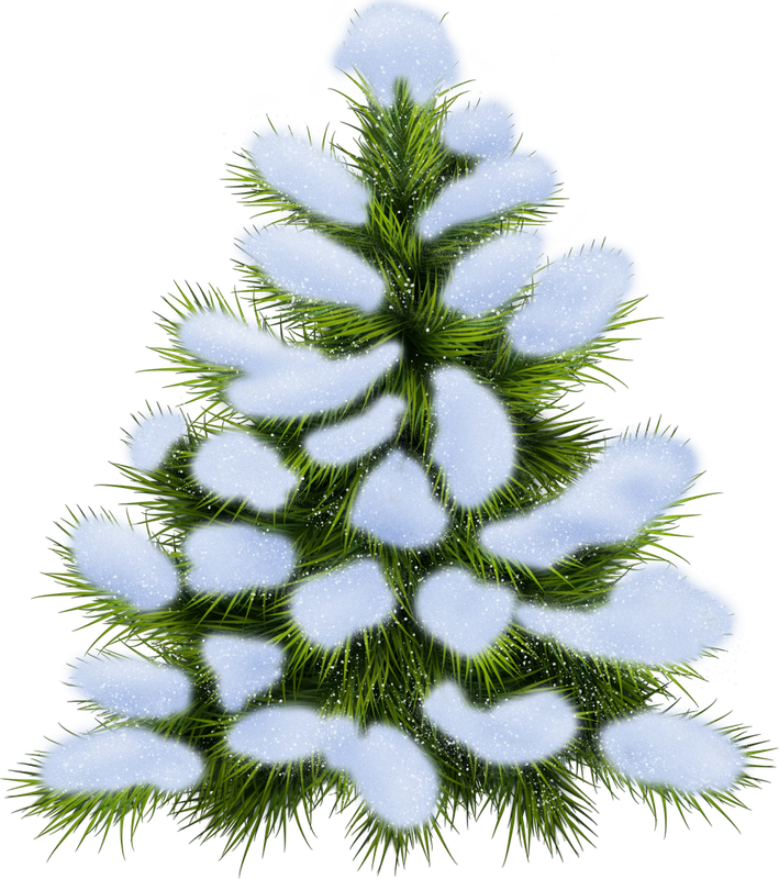 Christmas in Forest4