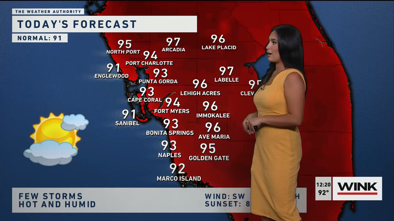06.15 - 17.00.00 - The WINK Noon News. Midday news update..ts_snapshot_26.50.051