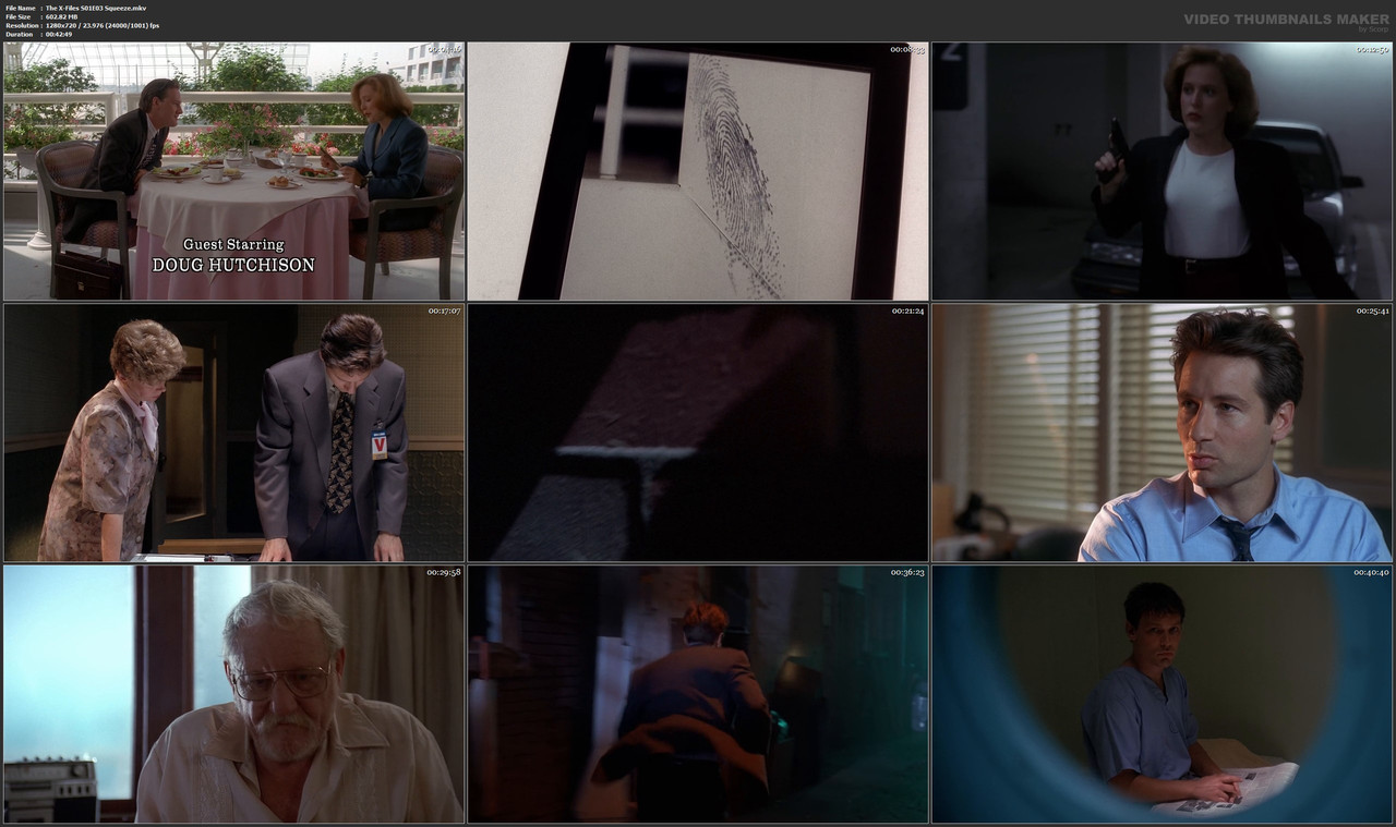 The X-Files S01E03 Squeeze.mkv