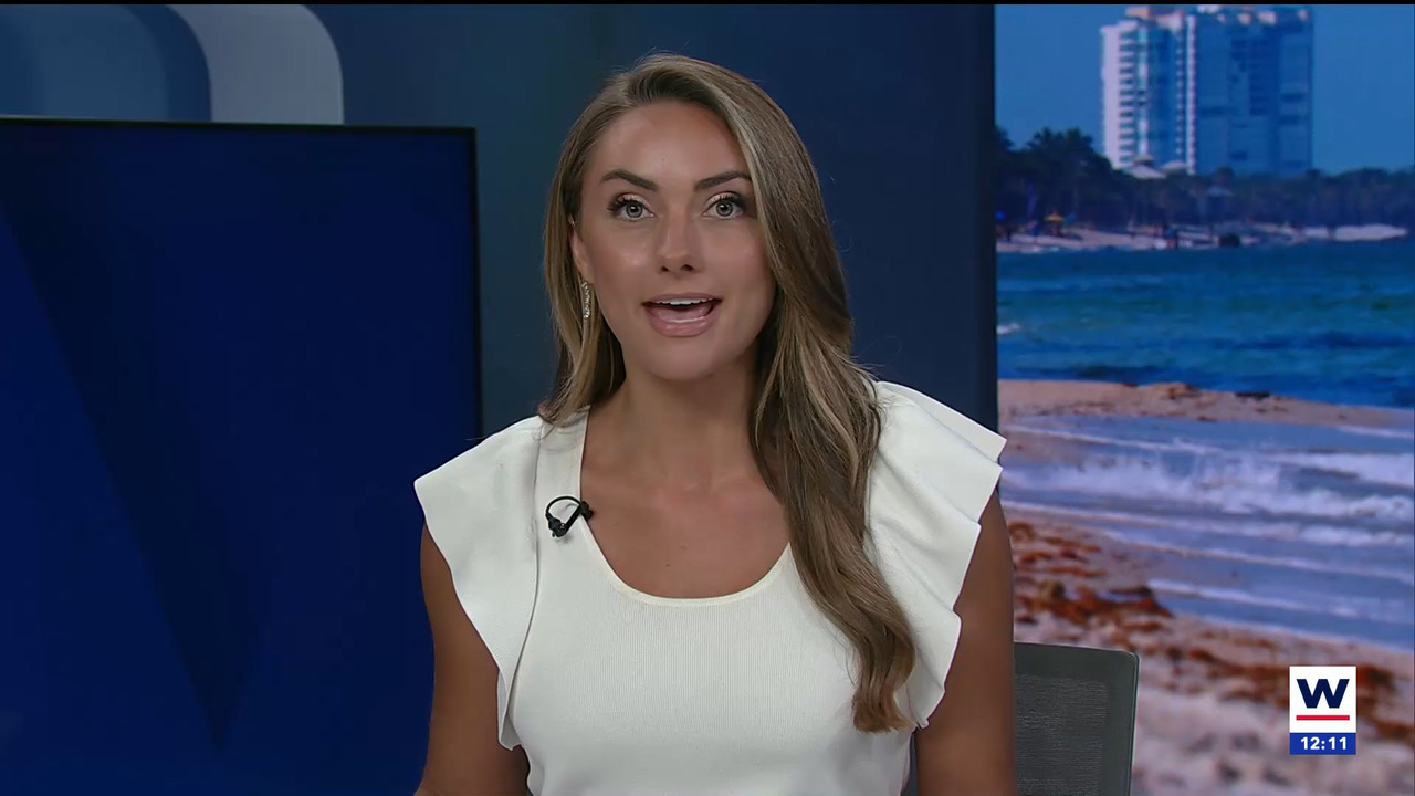 04.17 - 17.00.01 - The WINK Noon News  ᴺᵉʷ. Midday news update..ts_snapshot_17.26.526