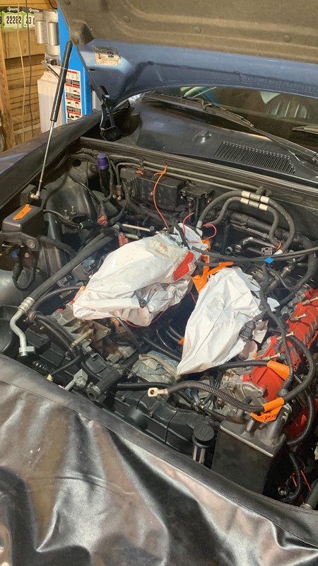 D4F2ABED-E9F5-4442-8043-E788E45BAA21