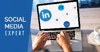 Social Media Expert