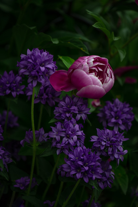 IMG-927af345e2c13c2e304ab537ef127b3d-V