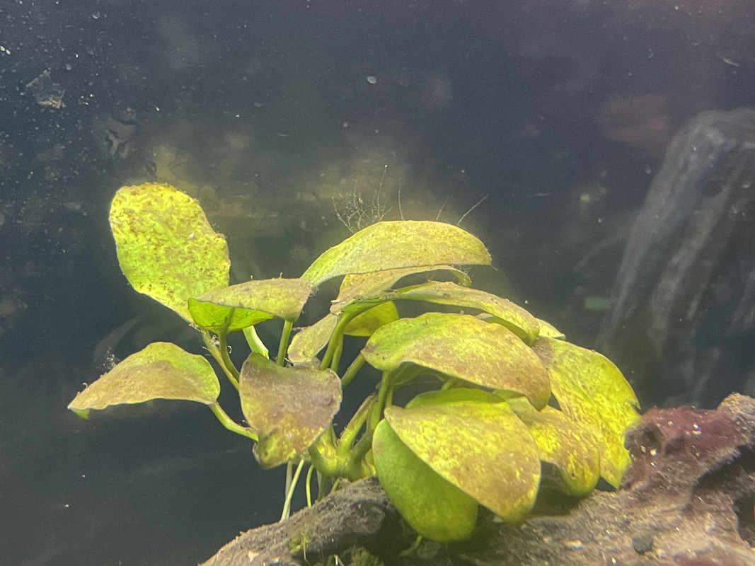 83DFAA51-97EA-4649-81E1-BF512B0CFE09