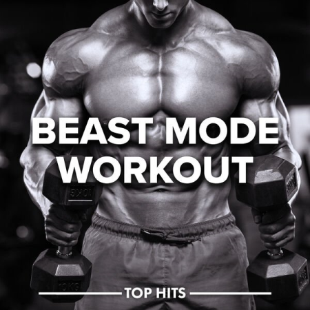 7bc9587a 10b1 4598 941d 8523e00ad237 - VA - Beast Mode Workout (2022)