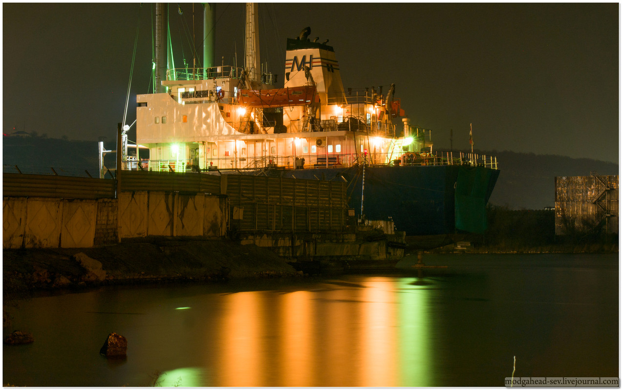Harbour-visitor-8004