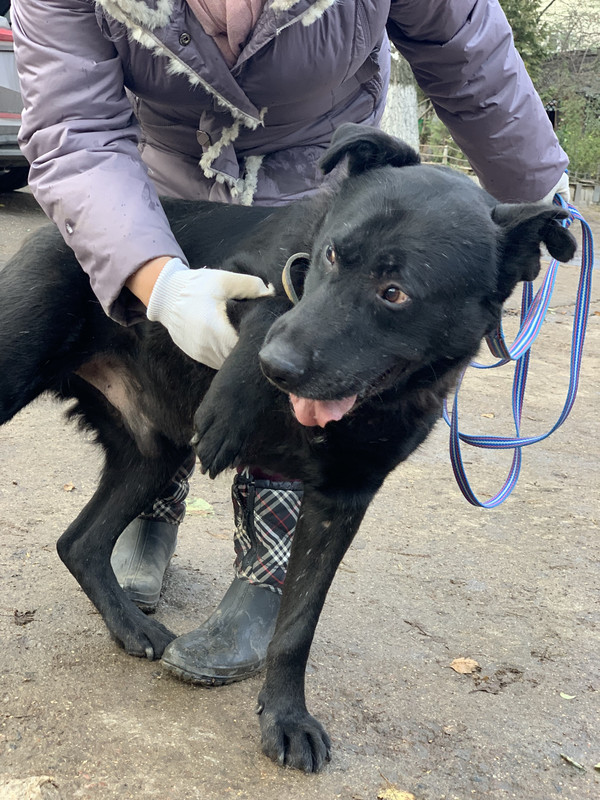 B6853D2D-DB7A-4FC5-AD07-5D50E64B535D