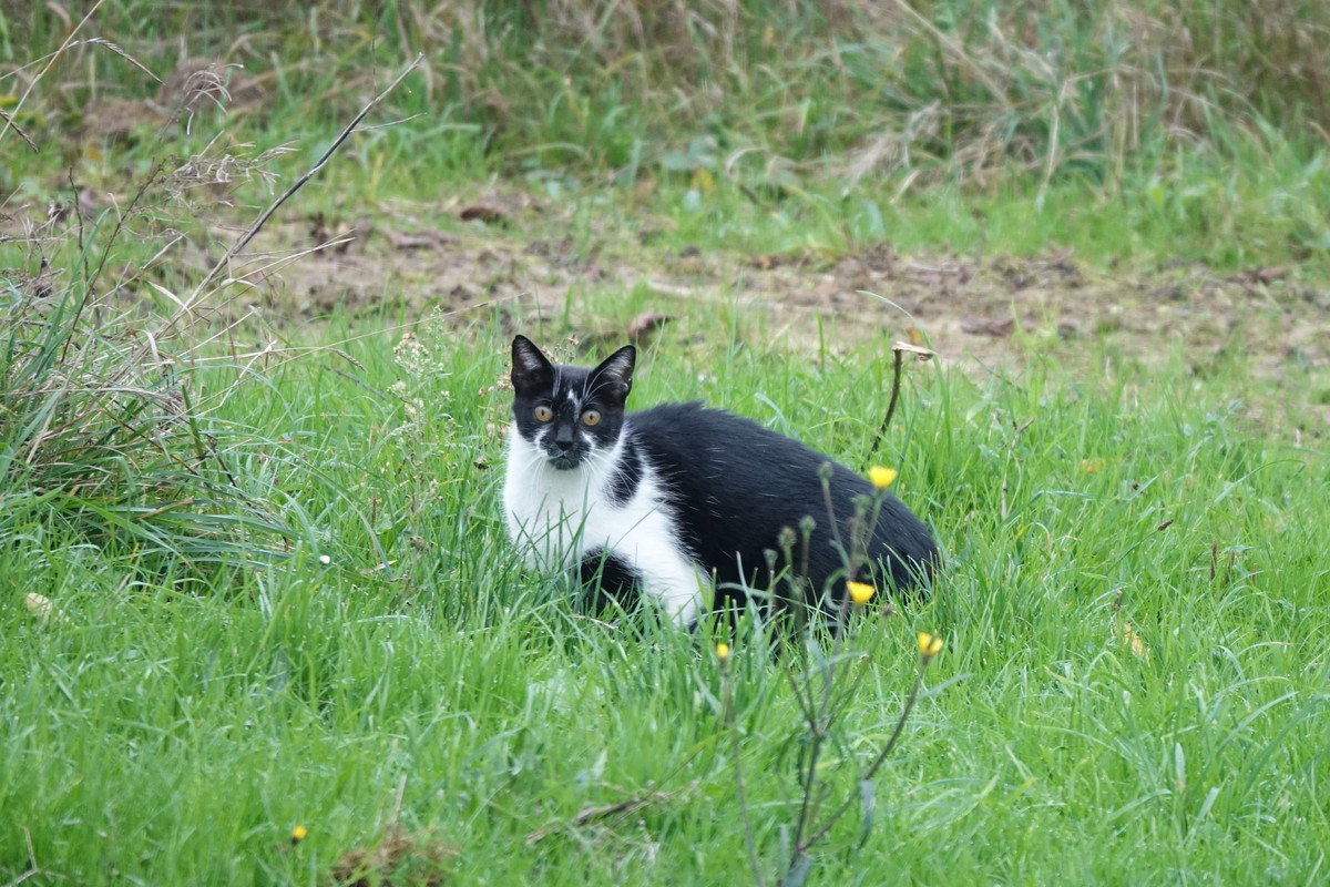 [Image: DSC01204.jpg]