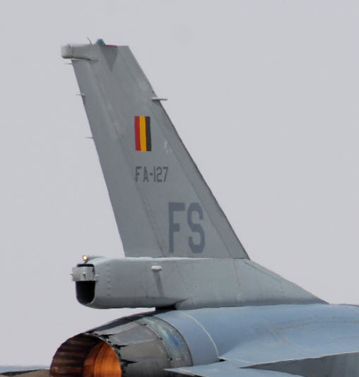 Tail1.jpg