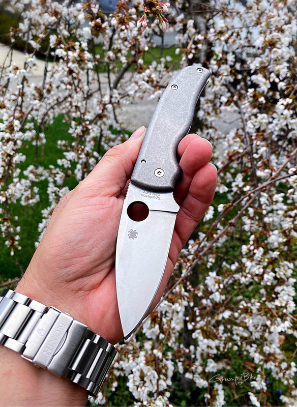 E2D31723-18F3-4085-BA2C-00FF400AE0DA