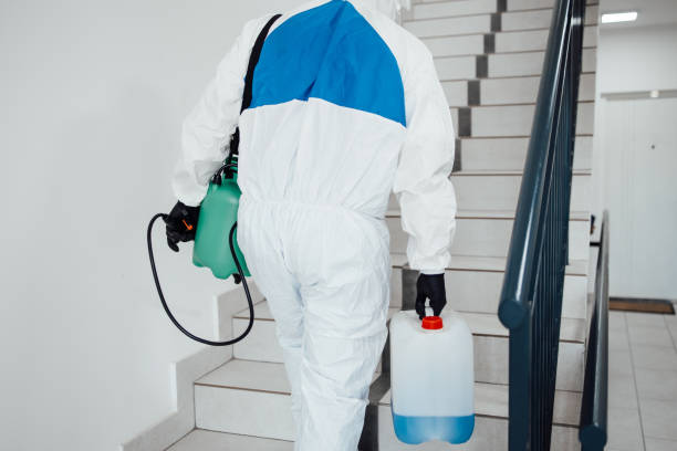 Termite-Treatment-8.jpg