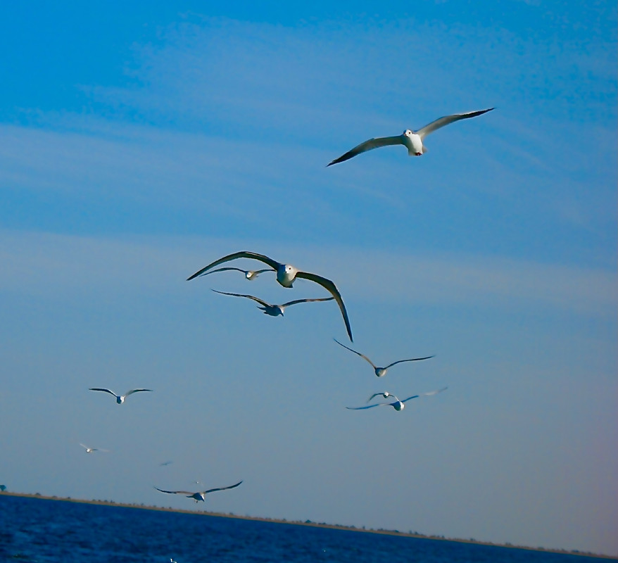 5FA39288-7D86-47D2-80E3-E2832EEC6C4F