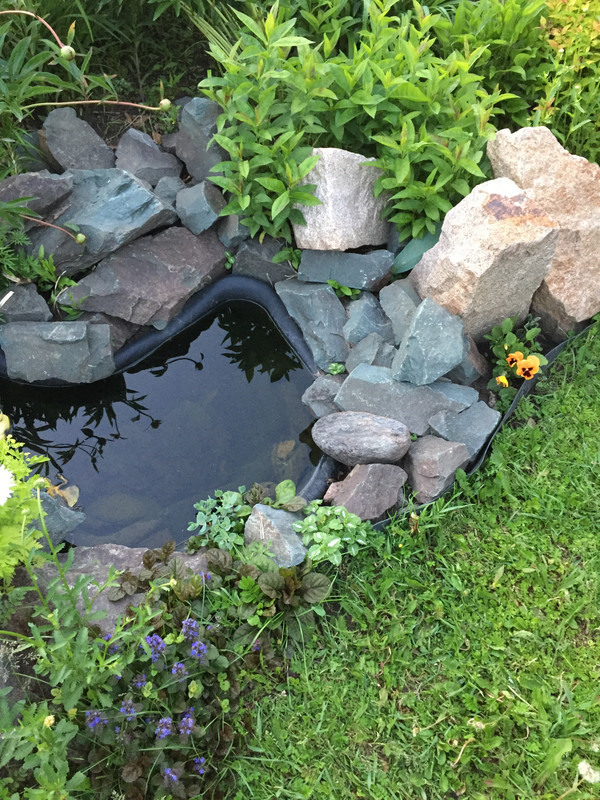 BDC090B7-DC7D-402A-AB4A-09803A229071