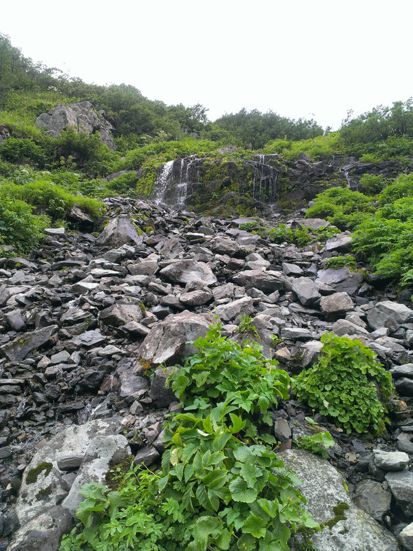 IMAG0506