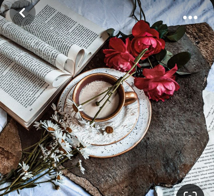 Screenshot_20230930_185455_Pinterest