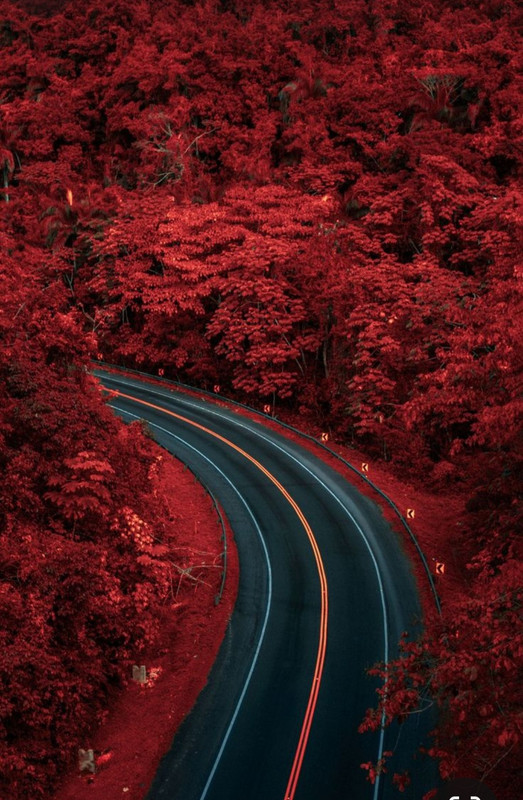 Screenshot_20231217_222806_Pinterest