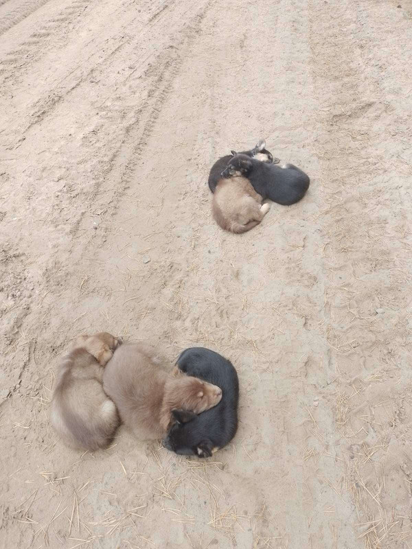 IMG-82ba33333c90d00892b884e1596fcead-V