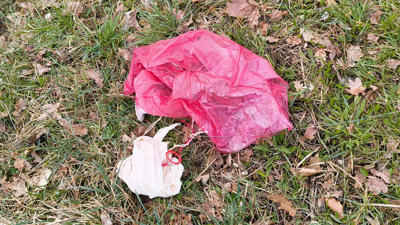 IMG 20260312 125959589