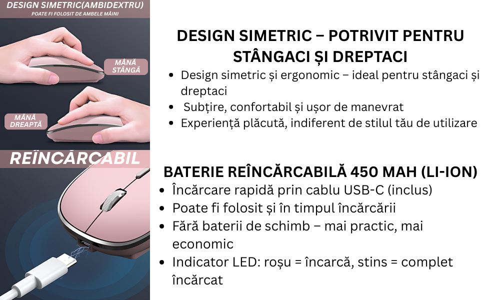 Mouse NETSTAT Prezentare 3
