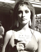 sharon-tate-md34