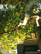 photo 17 2025 12 27 21 11 06