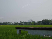 BBG&B12AStrollToSujataTemple - 9