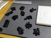 PXL_20241019_160131970.PORTRAIT