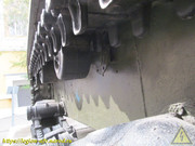 IMG-5238