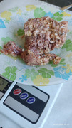 IMG-20220324-101011