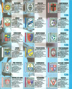 Album-Calciatori-2006-2007-Panini-141
