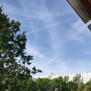 IMG_20210807_091242_1