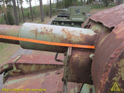 IMG-2537