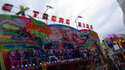 DSC03234
